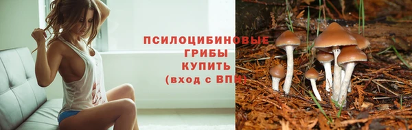 индика Белокуриха