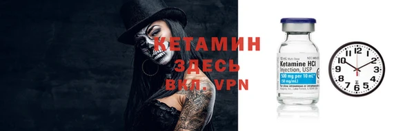 индика Белокуриха
