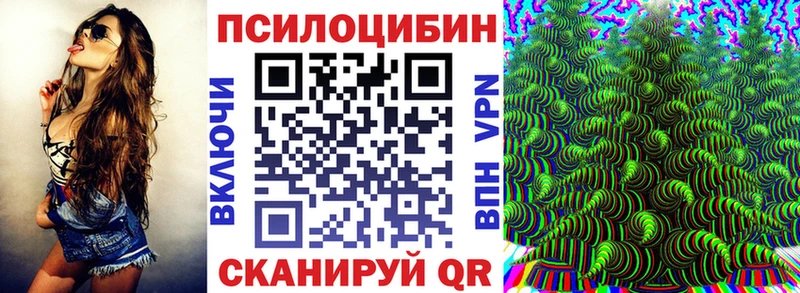 Псилоцибиновые грибы Psilocybe  купить закладку  shop наркотические препараты  Няндома 